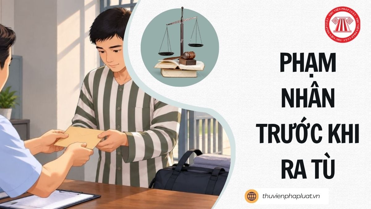 Hỏi đáp Pháp luật