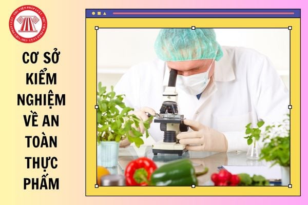 Hỏi đáp Pháp luật