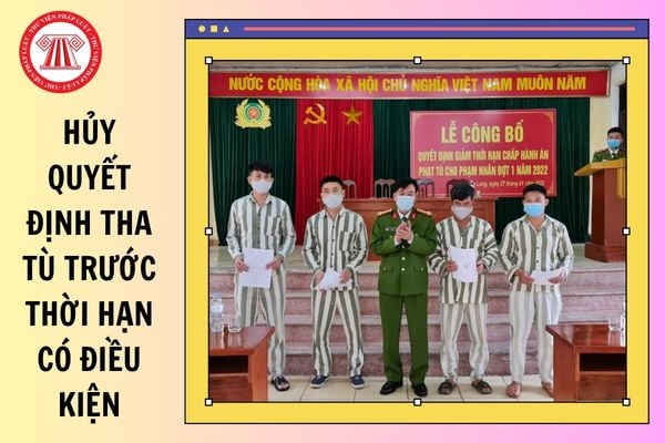 Hỏi đáp Pháp luật