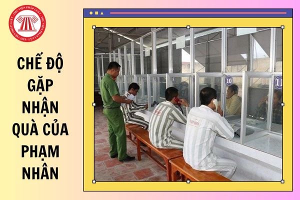 Hỏi đáp Pháp luật