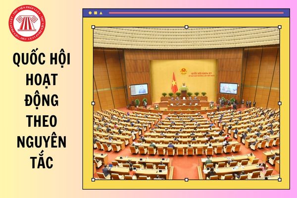 Hỏi đáp Pháp luật