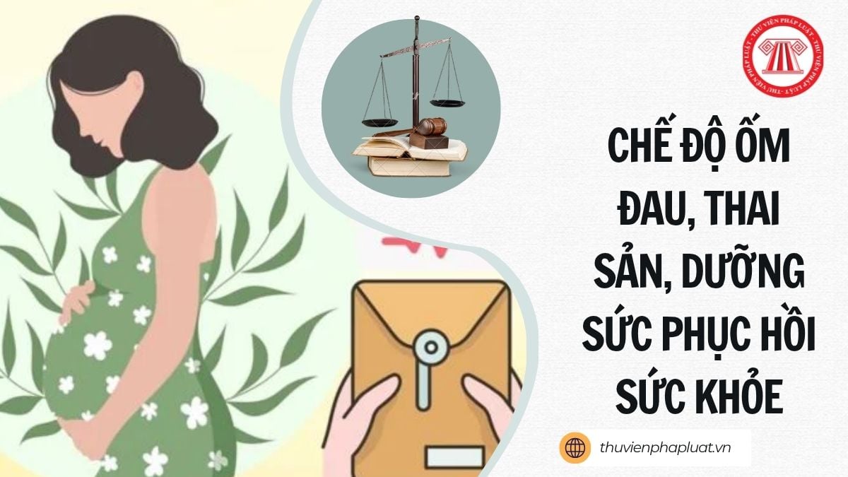 Hỏi đáp Pháp luật