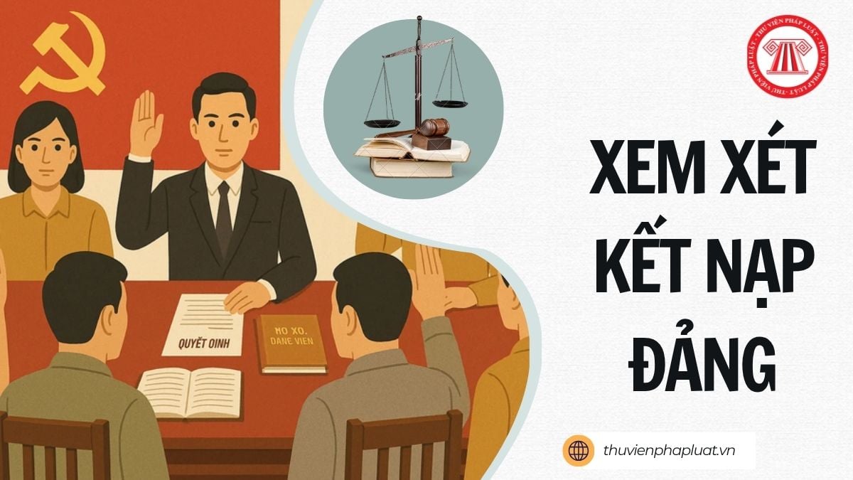 Hỏi đáp Pháp luật