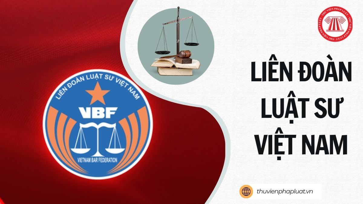 Liên đoàn Luật sư Việt Nam tên tiếng anh là gì?