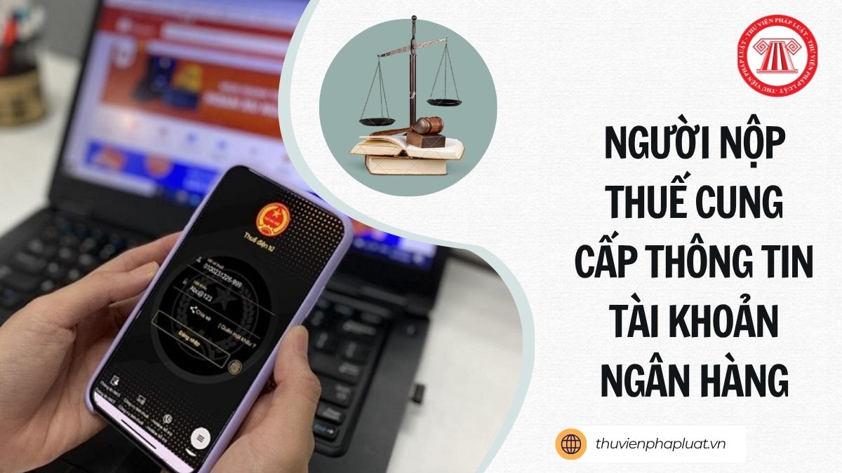 Công văn 4256/GLA-NVDTPC 2026 lưu ý người nộp thuế cung cấp thông tin tài khoản ngân hàng thế nào?