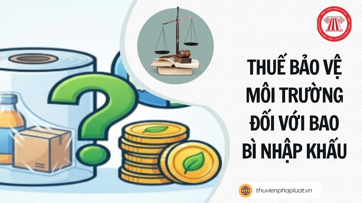 Hỏi đáp Pháp luật