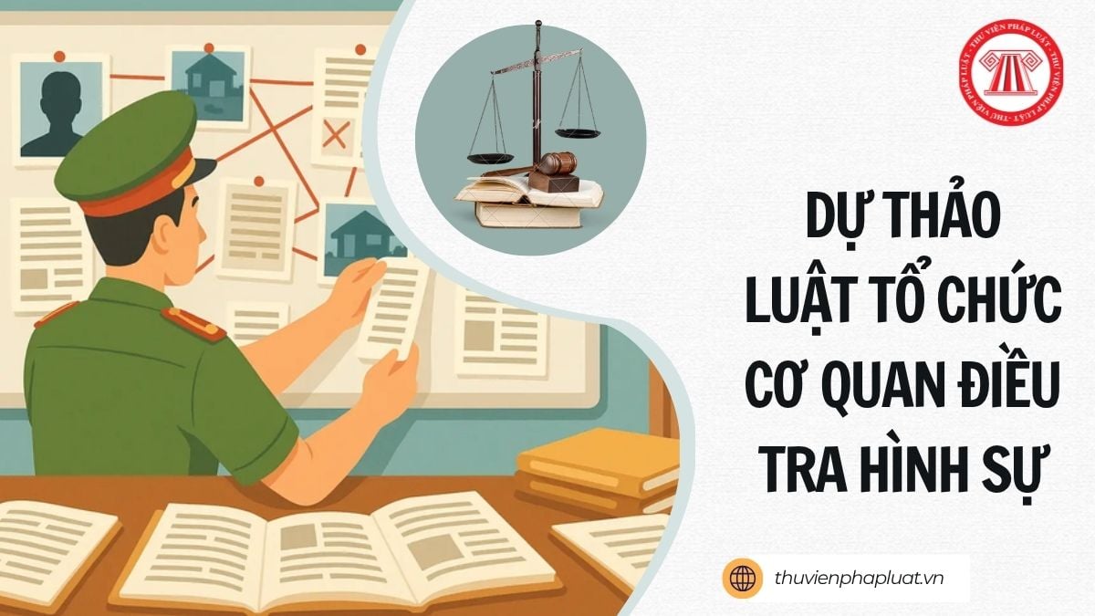Hỏi đáp Pháp luật