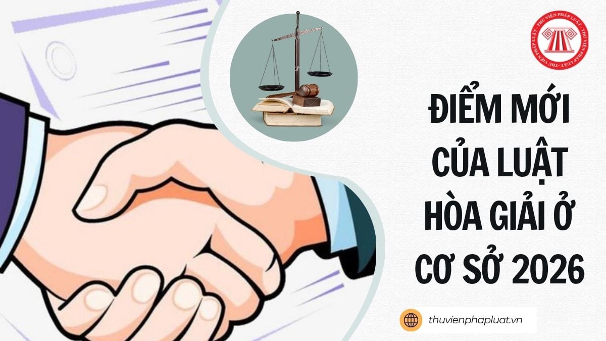 Hỏi đáp Pháp luật
