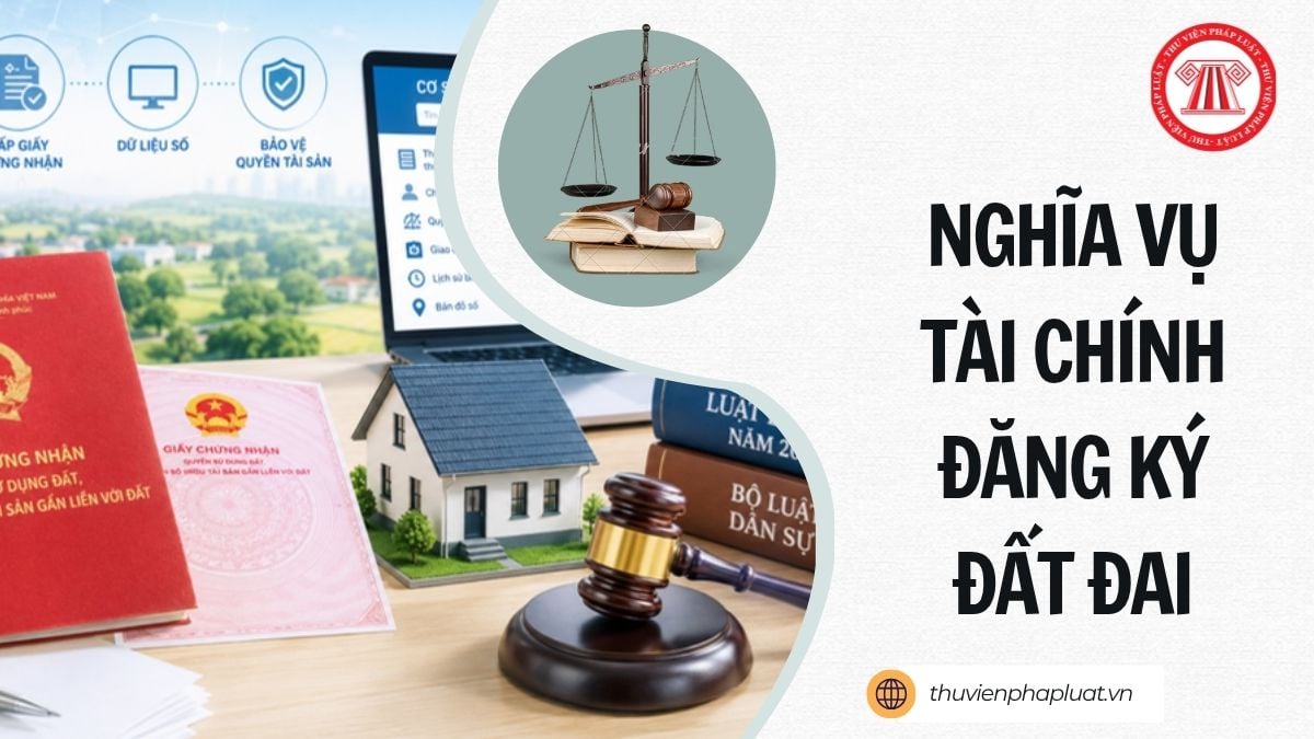 Hỏi đáp Pháp luật