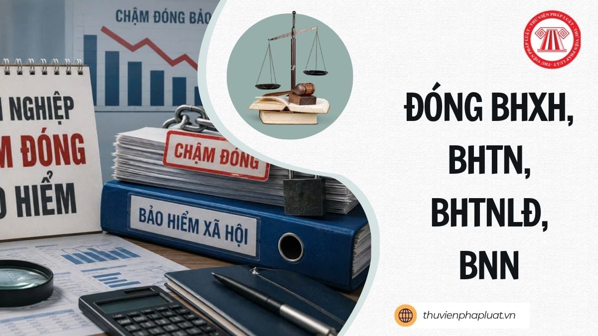 Hỏi đáp Pháp luật