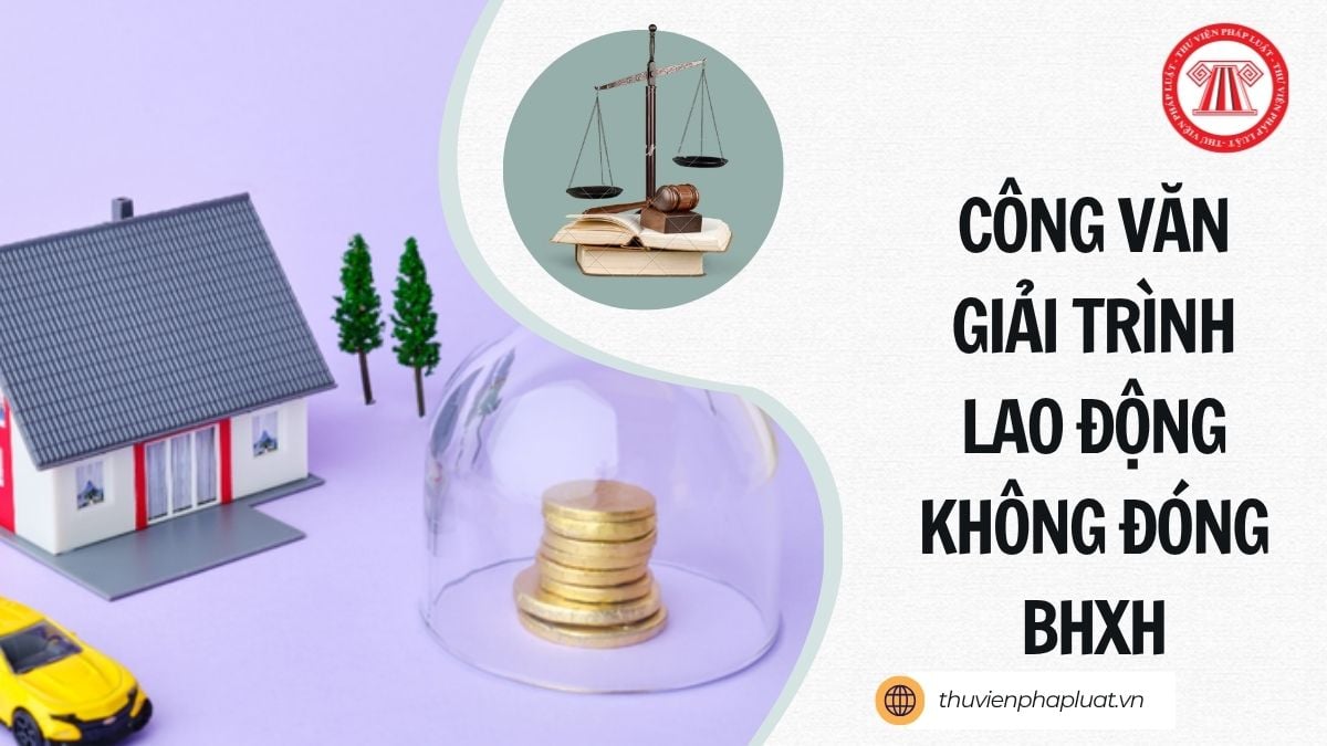 Hỏi đáp Pháp luật