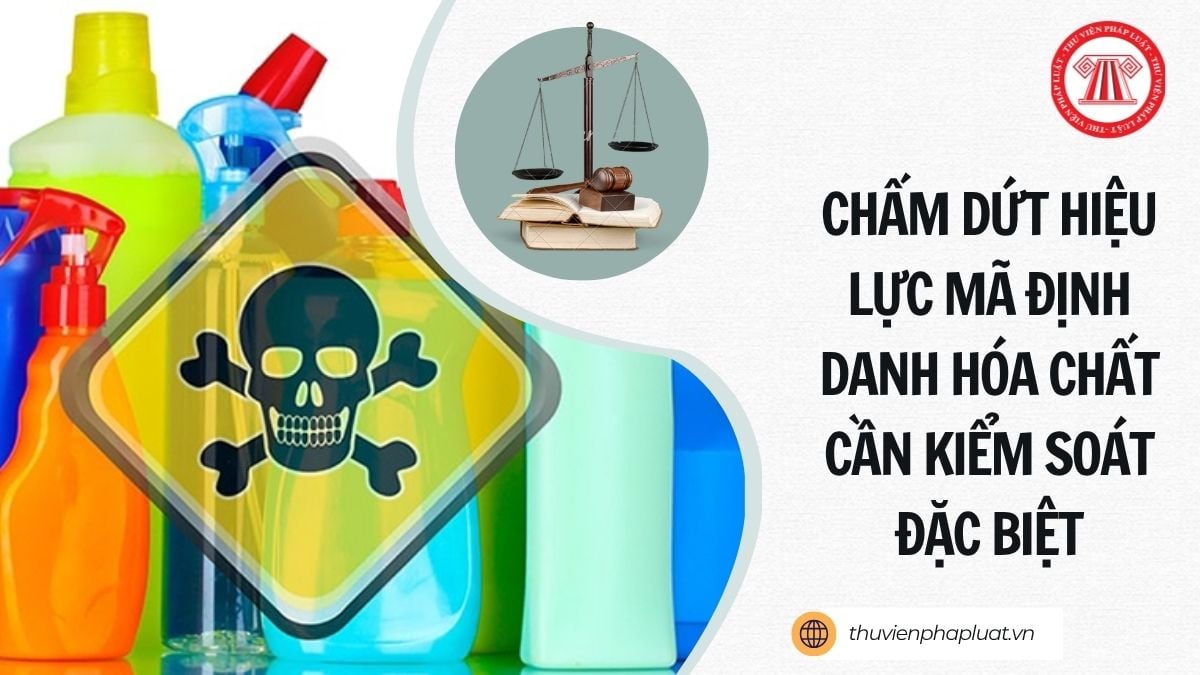 Hỏi đáp Pháp luật