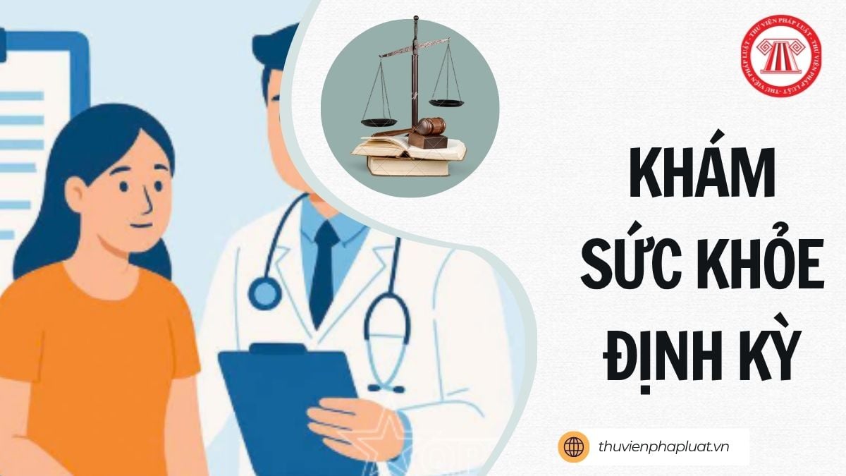 Hỏi đáp Pháp luật