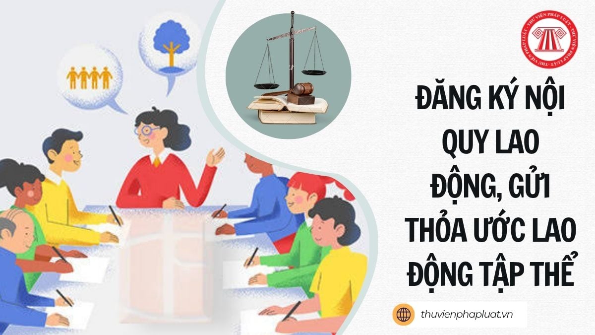 Hỏi đáp Pháp luật