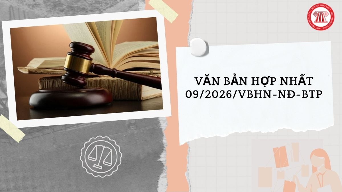 Hỏi đáp Pháp luật