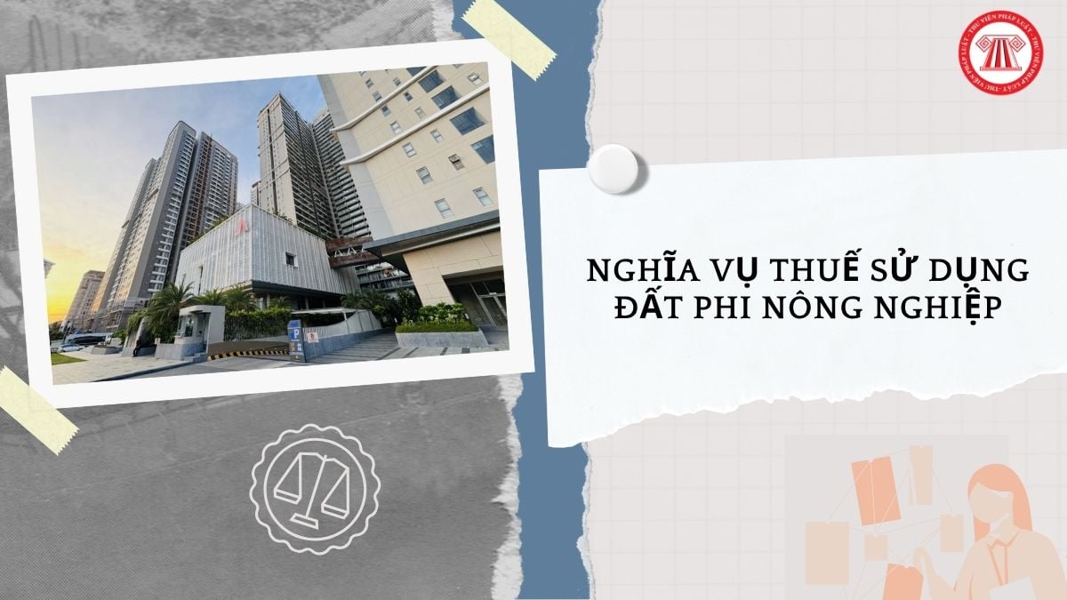 Hỏi đáp Pháp luật