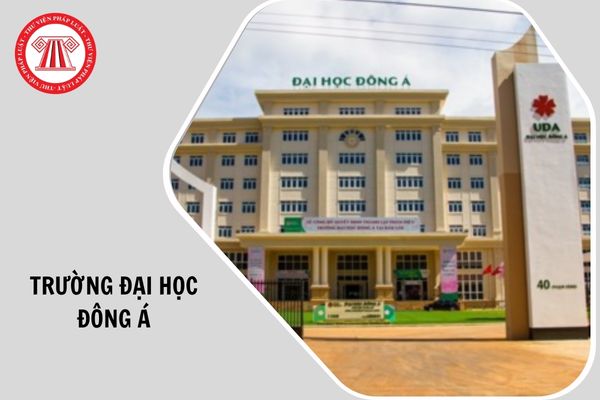 Thông tin tuyển sinh năm 2026 Trường Đại học Đông Á như thế nào?