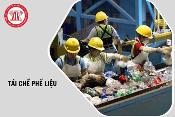 Hỏi đáp Pháp luật