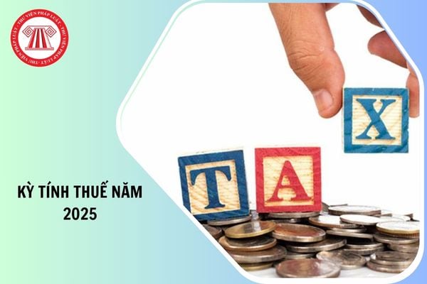 Các báo cáo phải nộp cho kỳ tính thuế năm 2025 trong năm 2026 bao gồm những gì?