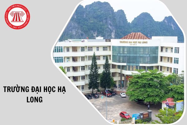 Thông tin tuyển sinh năm 2026 Trường Đại học Hạ Long như thế nào?