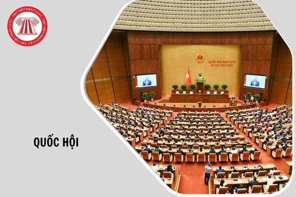 Hỏi đáp Pháp luật