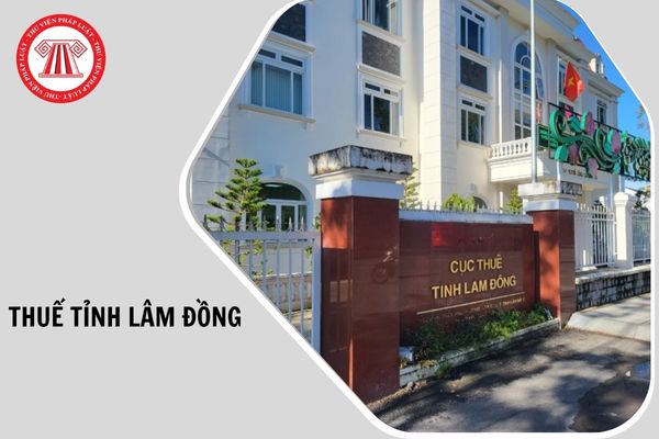 Hỏi đáp Pháp luật