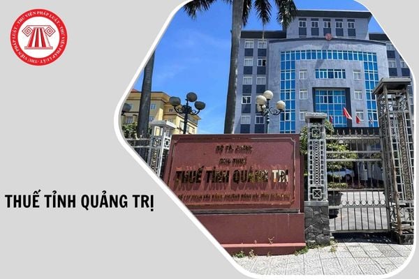 Hỏi đáp Pháp luật