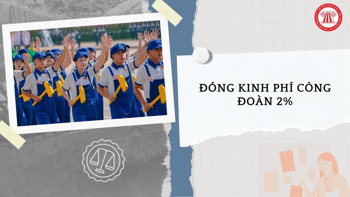 Hỏi đáp Pháp luật