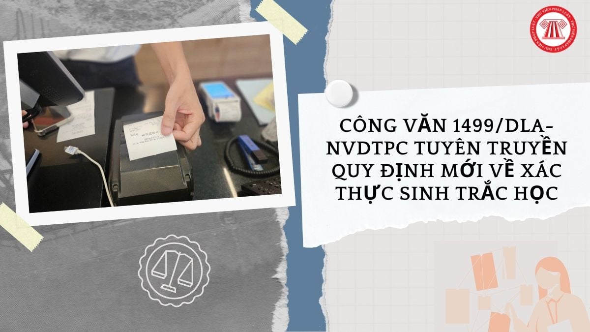 Hỏi đáp Pháp luật