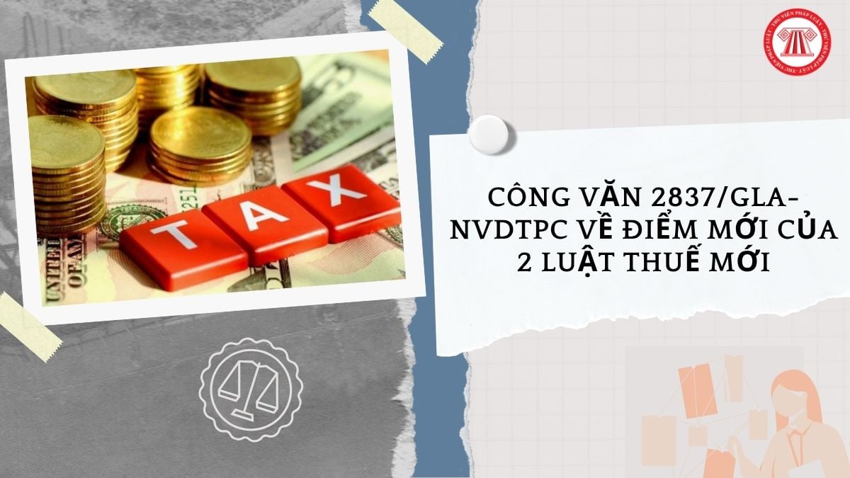 Hỏi đáp Pháp luật