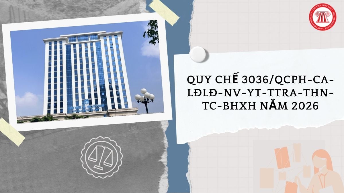 Hỏi đáp Pháp luật