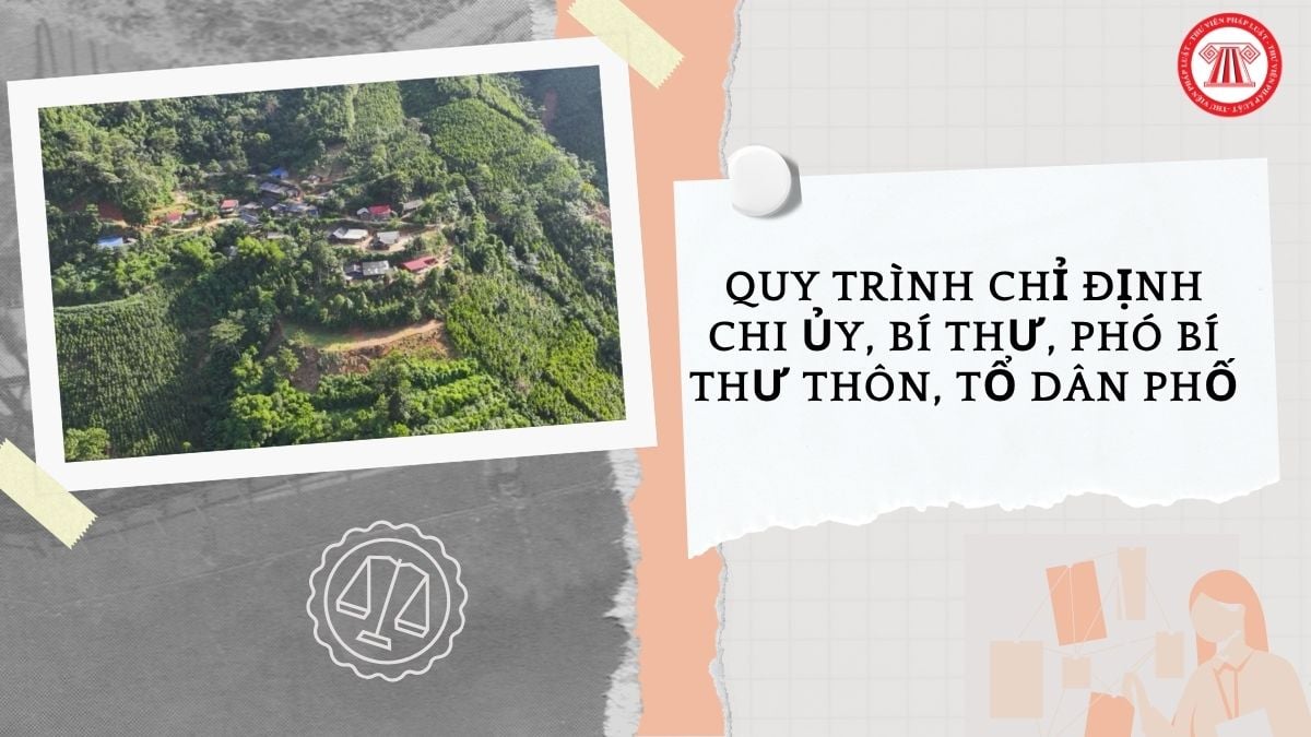 Hỏi đáp Pháp luật