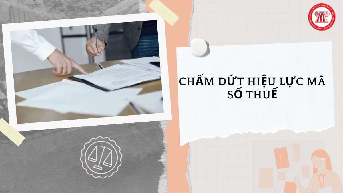 Hỏi đáp Pháp luật