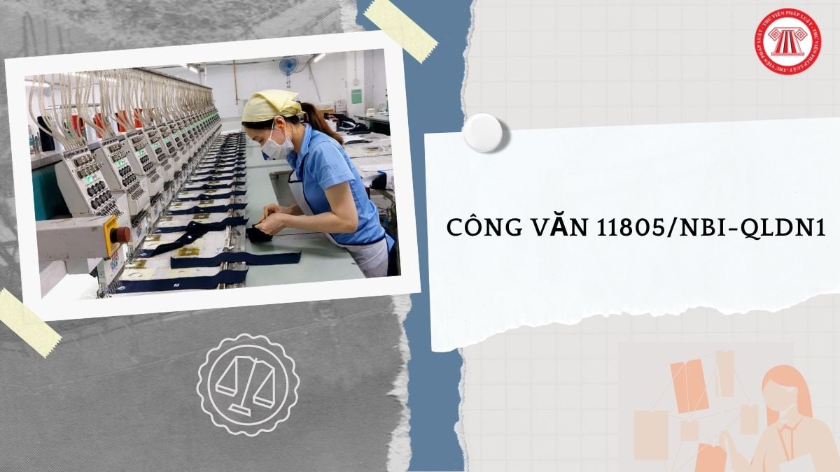 Hỏi đáp Pháp luật