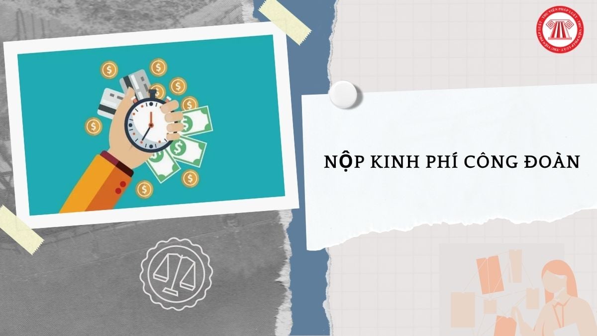 Hỏi đáp Pháp luật