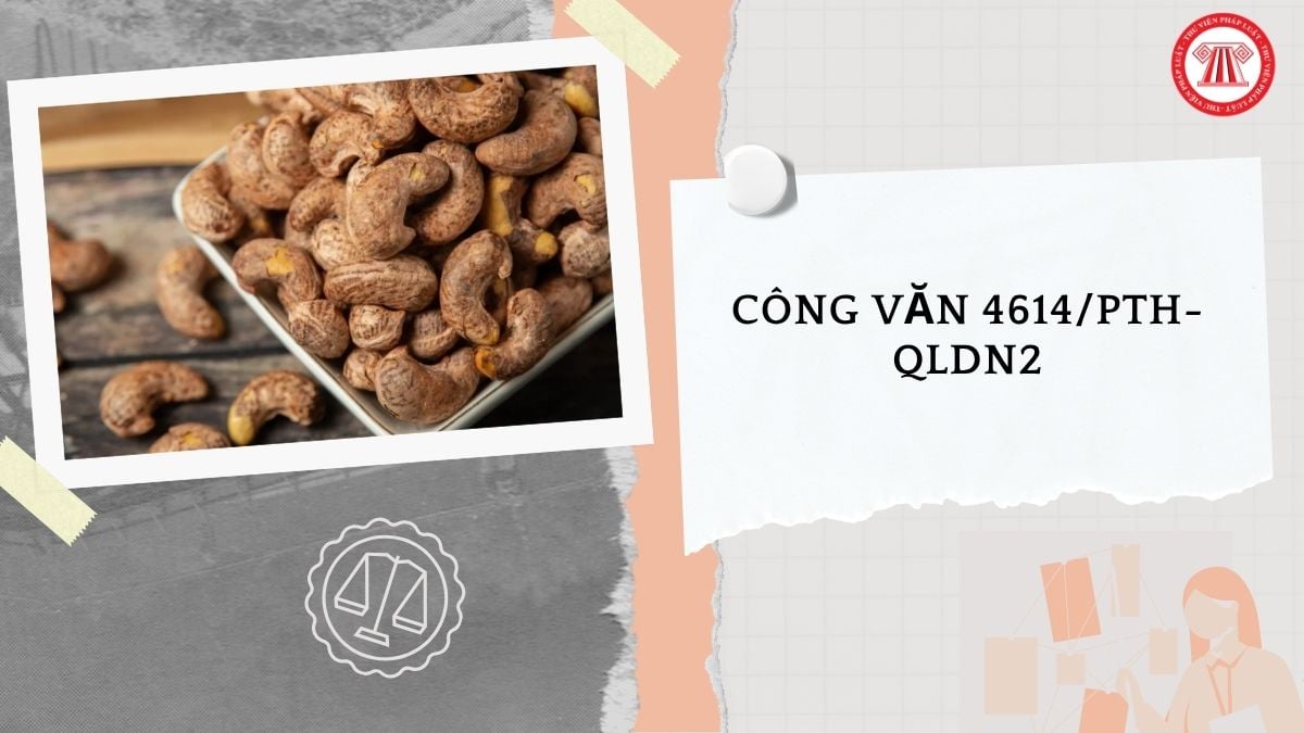 Hỏi đáp Pháp luật