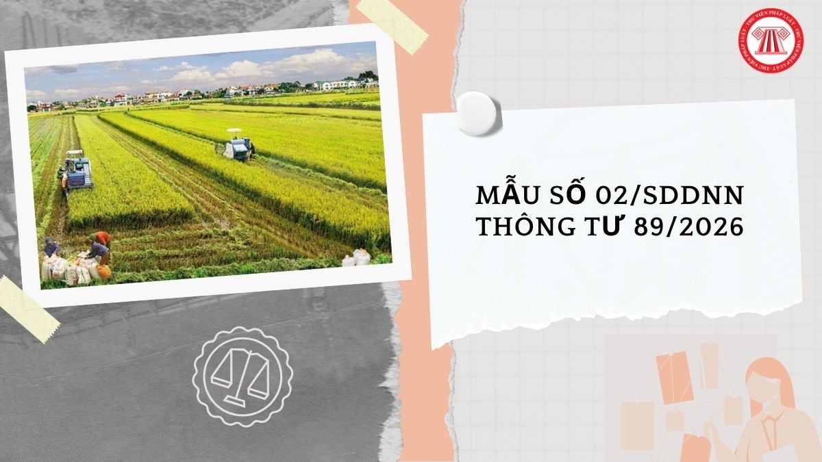 Hỏi đáp Pháp luật