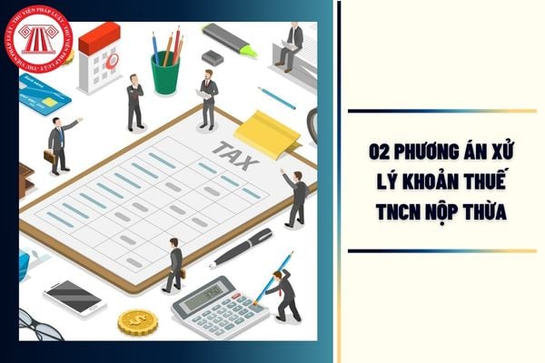 Hỏi đáp Pháp luật