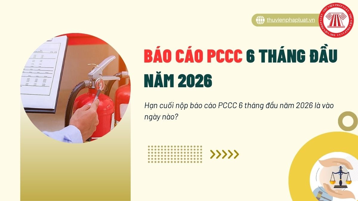 Hỏi đáp Pháp luật