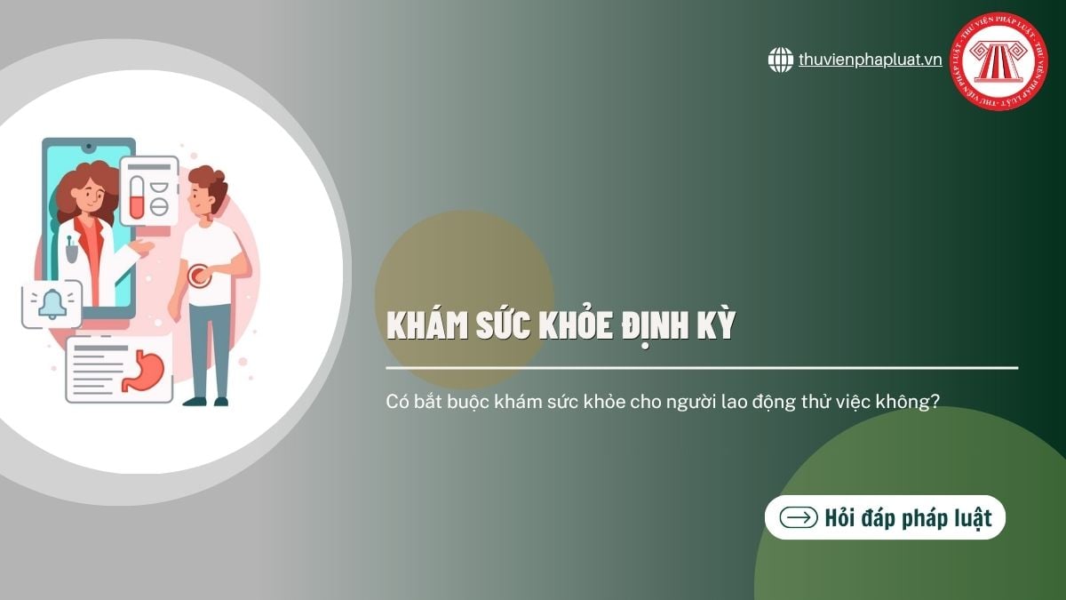 Hỏi đáp Pháp luật
