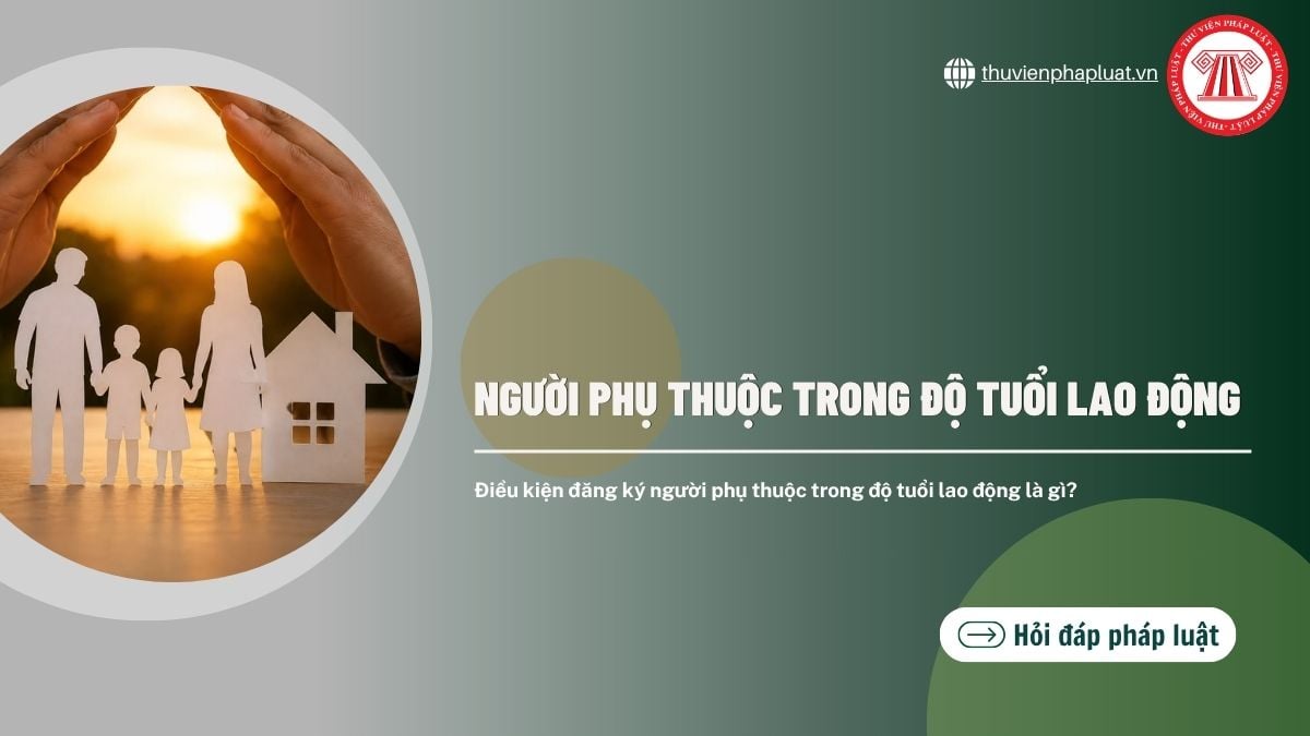 Hỏi đáp Pháp luật