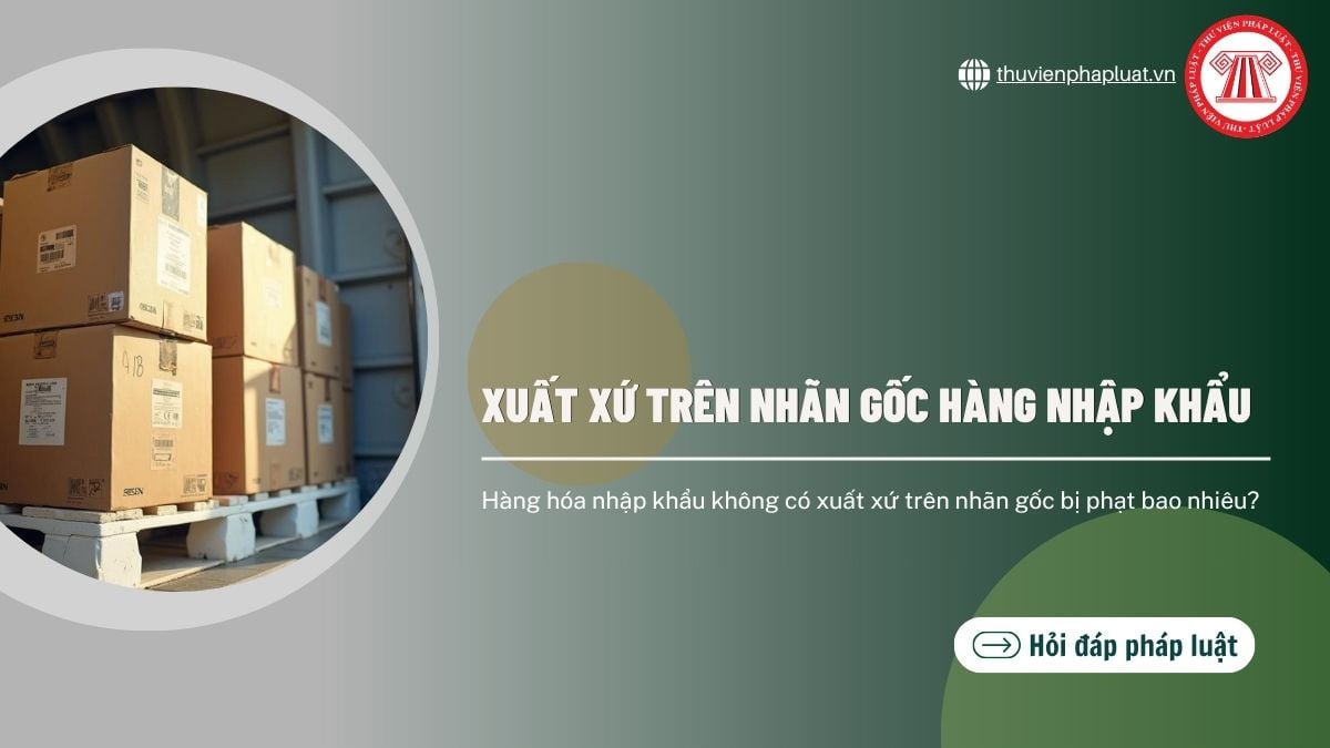 Hỏi đáp Pháp luật