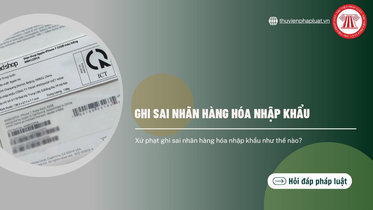 Hỏi đáp Pháp luật