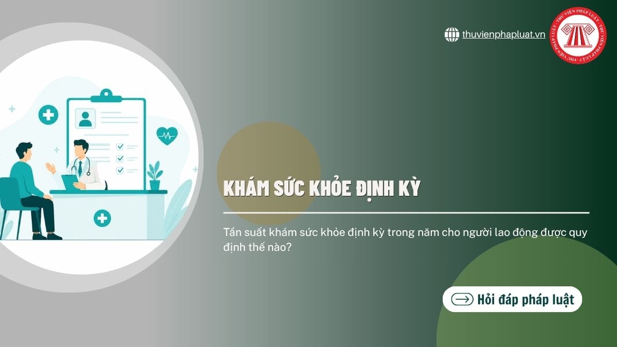 Hỏi đáp Pháp luật