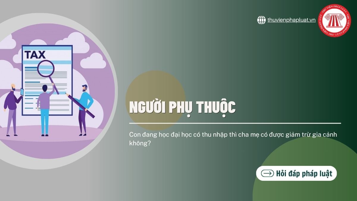 Hỏi đáp Pháp luật