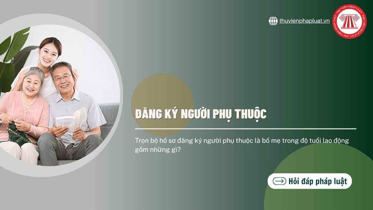 Hỏi đáp Pháp luật