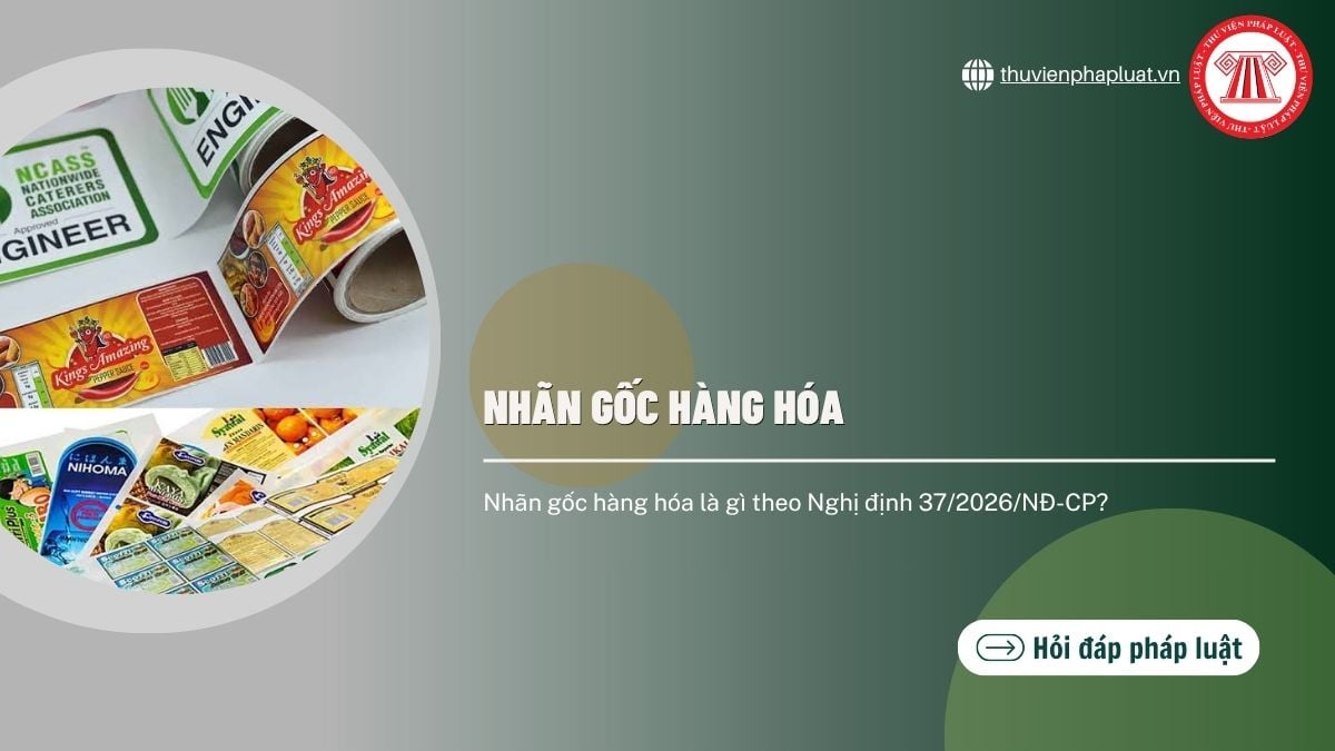 Hỏi đáp Pháp luật