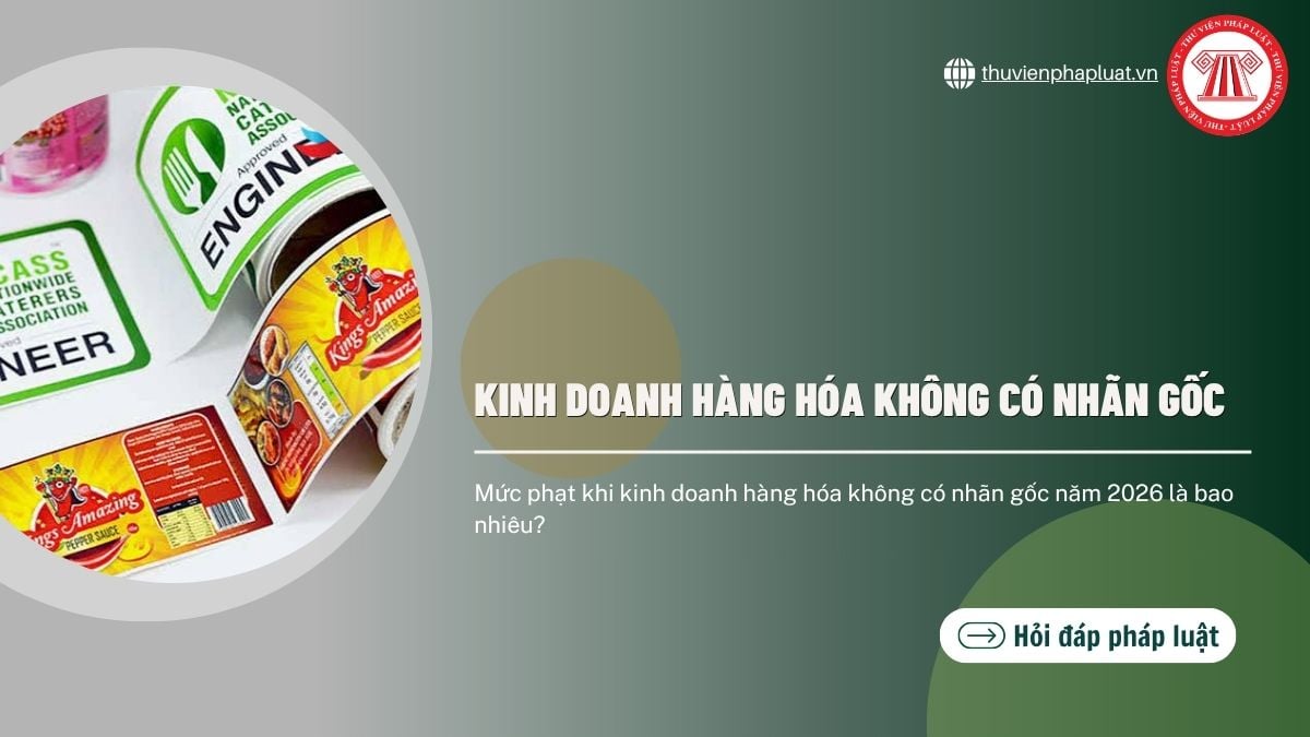 Hỏi đáp Pháp luật