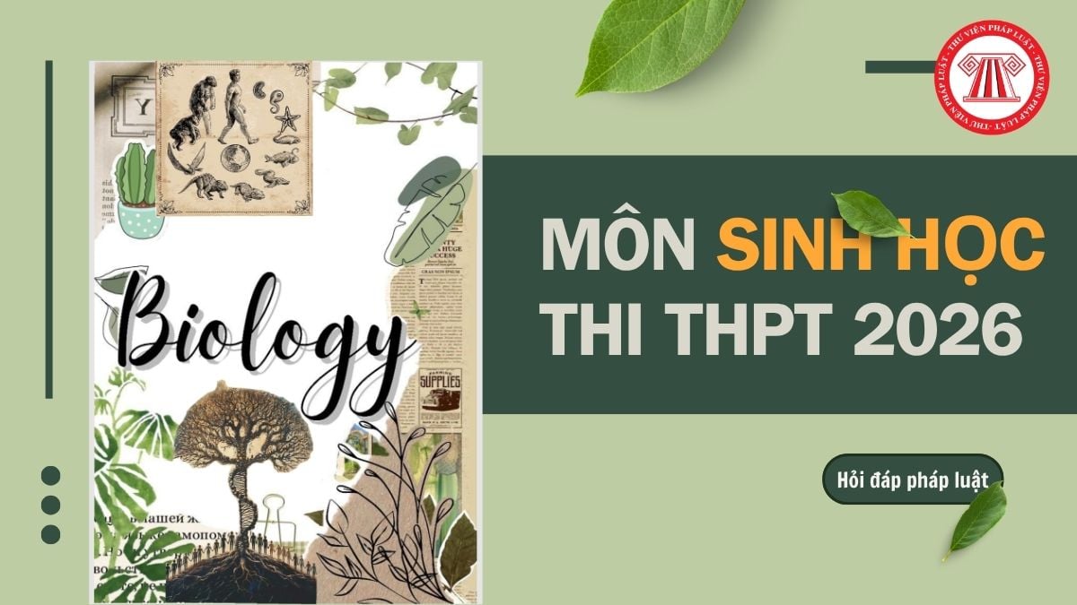 Full đề môn Sinh thi THPT 2026 chính thức mã 03 và đáp án chi tiết thế nào?