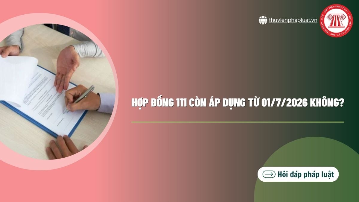 Hỏi đáp Pháp luật